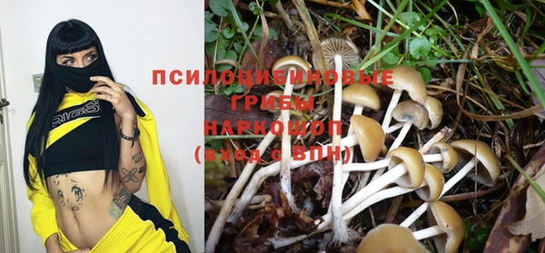 мескалин Абаза