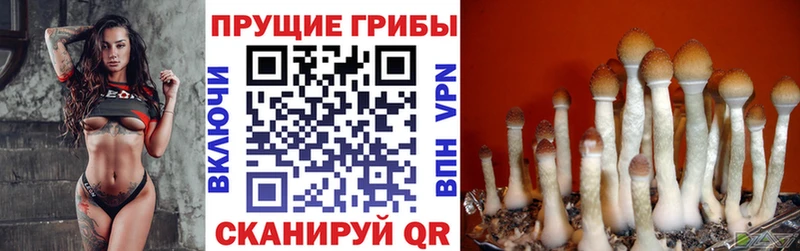 Галлюциногенные грибы прущие грибы  купить наркотик  Александровск 